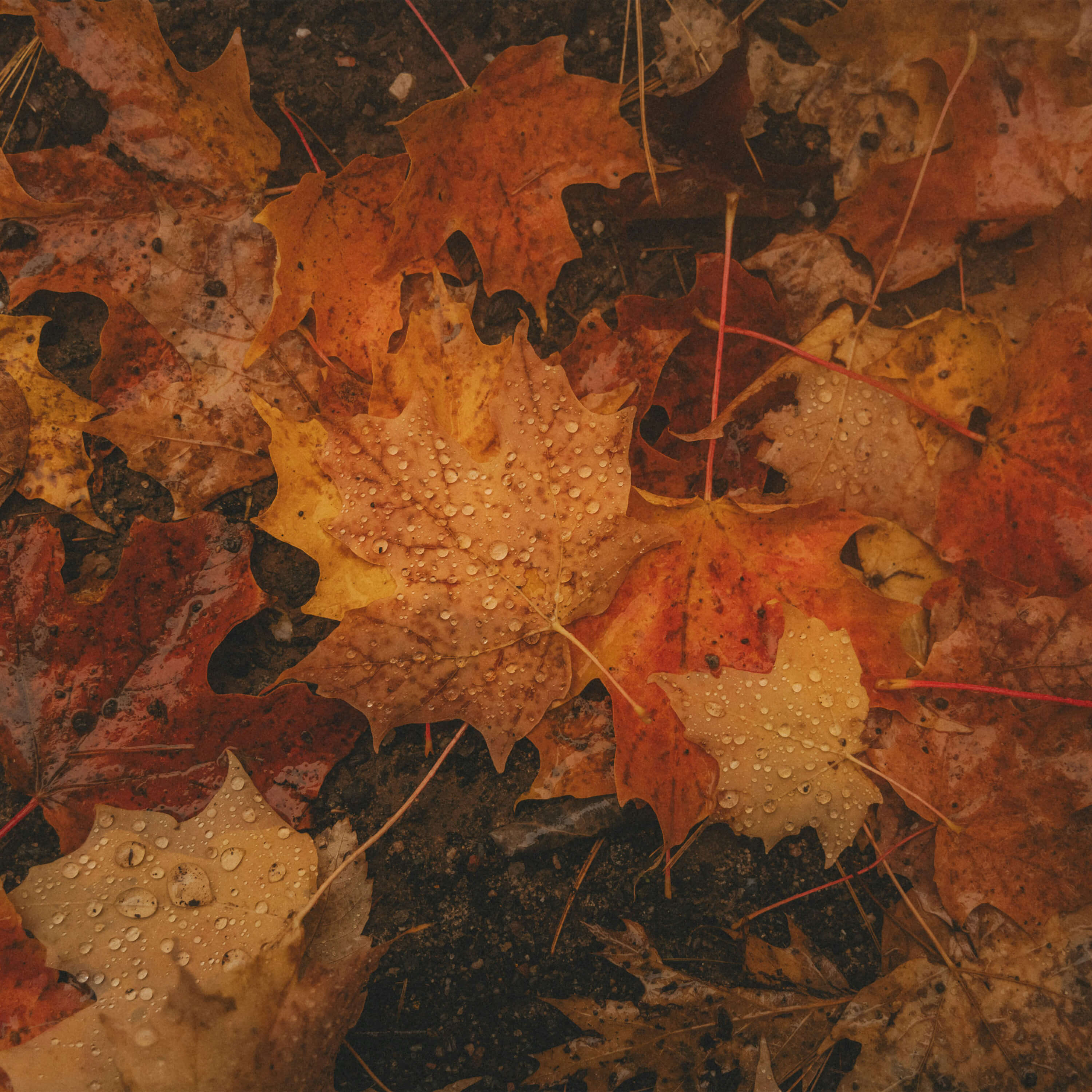 Autumn 2025 - Services policies: Out of sight, out of mind